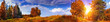 Autumn panoramic landscape with mixed forest