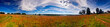Summer panoramic landscape with river