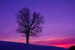sunset in the field