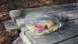 Plastic Food Carton Blown Shut Lid Flapping Plastic Food Carton Blown Shut Lid Flapping
