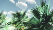 Tropical vegetation against blue sky