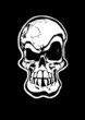 The Skull The Skull