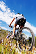 mountain bike trail