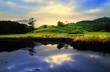 lake