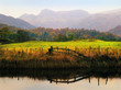 langdale