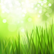 Meadow. Vector illustration.