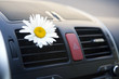 Photo: Car conditioning Car conditioning