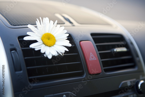 Photo: Car conditioning Car conditioning