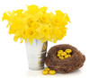 Easter Time
