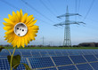Solarpark, Sonnenblume mit Steckdose und Stromtrasse