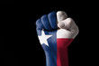 Fist painted in colors of us state of texas flag