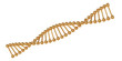 DNA shape