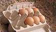 Photo: Six Brown Eggs Six Brown Eggs