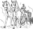 Horse carriage