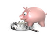 Piggy bank in a bear trap Piggy bank in a bear trap