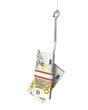 Pack of euro on a fishing hook Pack of euro on a fishing hook