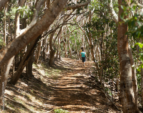 Foto: Women hiking through woods in Kauai Women hiking through woods in Kauai