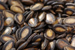 Black Melon Seeds
