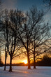 cold sunrise