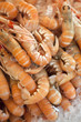 Langoustines, aliment, cuisine, gastronomie, crustacés