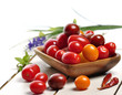Fresh Tomatoes Assortment