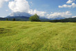 Mountain pasture Mountain pasture