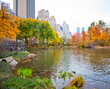 Central Park