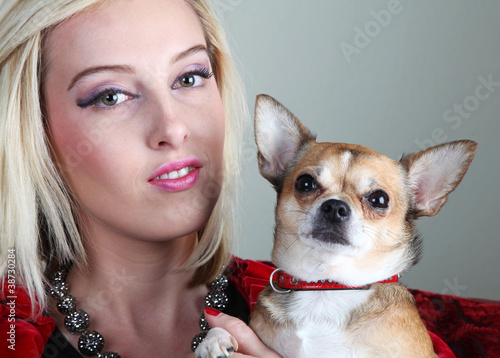 Foto: Schoßhund Schoßhund