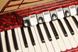 Red accordion, close up