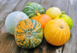 pumpkins