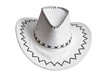 Cowboy Hat