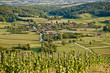 Village in green natural scenery Village in green natural scenery