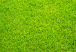 Foto: Fussball Rasen - Soccer Grass Fussball Rasen - Soccer Grass