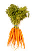 Fresh carrots isolated on a white studio background. Fresh carrots isolated on a white studio background.