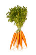 Fresh carrots isolated on a white studio background. Fresh carrots isolated on a white studio background.