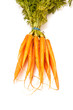 Fresh carrots isolated on a white studio background. Fresh carrots isolated on a white studio background.