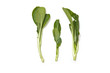 Choi Sum leaves isolated on a white studio background. Choi Sum leaves isolated on a white studio background.