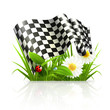 Checkered flag in grass