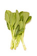 Choi Sum leaves isolated on a white studio background. Choi Sum leaves isolated on a white studio background.