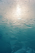 Cracks in Ice - ICE BLUE texture design