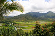 Tropical Mountain Landscape