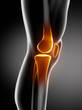 Human knee anatomy lateral view