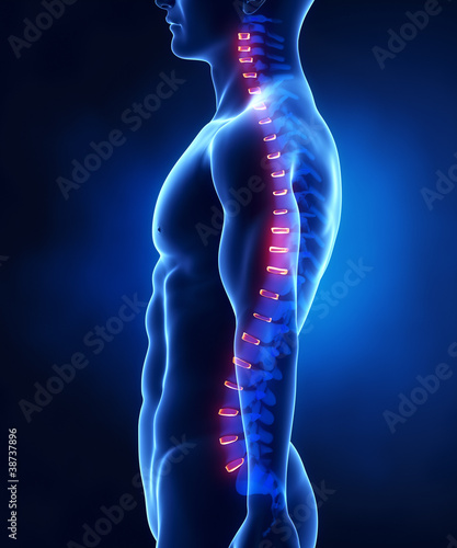 Illustration: Backbone intervertebral disc anatomy lateral view Backbone intervertebral disc anatomy lateral view