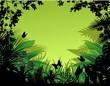 Vector: Tropical Forest Background Tropical Forest Background