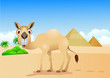 cartoon illustration of camel on desert cartoon illustration of camel on desert