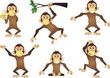 funny chimpanzee funny chimpanzee