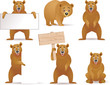 Funny bear and blank sign Funny bear and blank sign