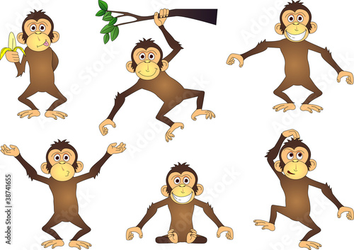Vector: funny chimpanzee funny chimpanzee