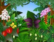 Tropical forest Tropical forest