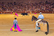 Matador and bull in bullfighting at Madrid